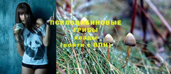 гидропоника Абинск