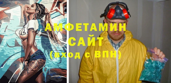 шишки Арсеньев
