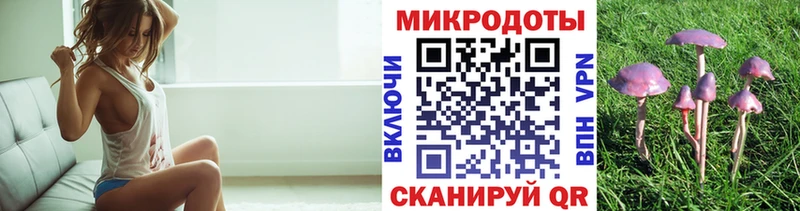 Галлюциногенные грибы Psilocybe Стерлитамак