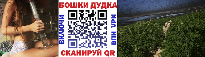 OMG рабочий сайт  Стерлитамак  Шишки марихуана план 